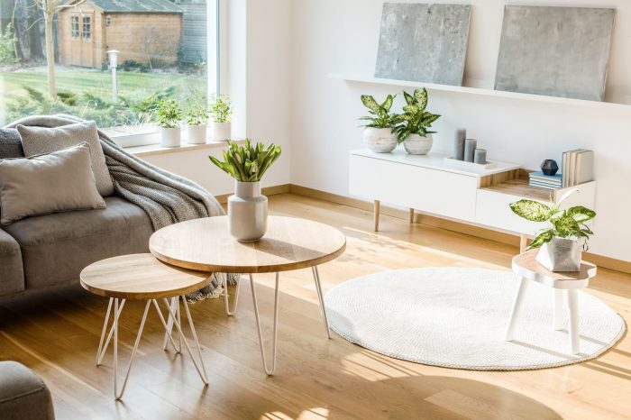 fresh-plants-and-flowers-placed-in-bright-living-M3XE65U fresh-plants-and-flowers-placed-in-bright-living-M3XE65U